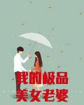 我的极品美女老婆陈扬苏晴