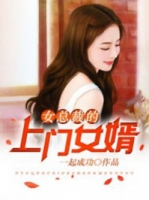 医婿叶凡唐小说