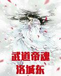 武道帝魂洛城东