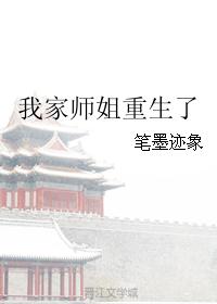 陆鸣的小说