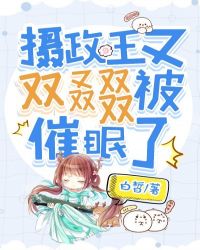 ˫